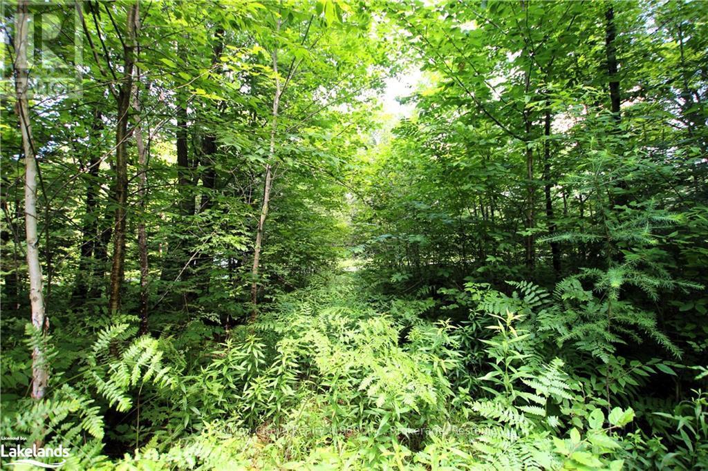 0A 20Th Side Rd, Parry Sound Remote Area (Mcconkey), ON