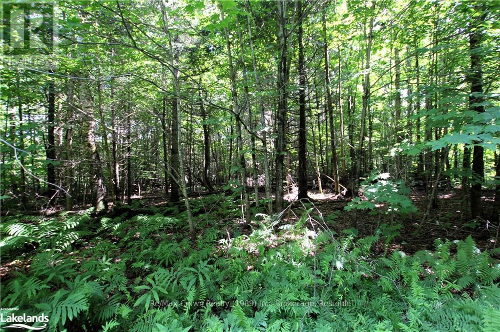 0A 20Th Side Rd, Parry Sound Remote Area (Mcconkey), ON