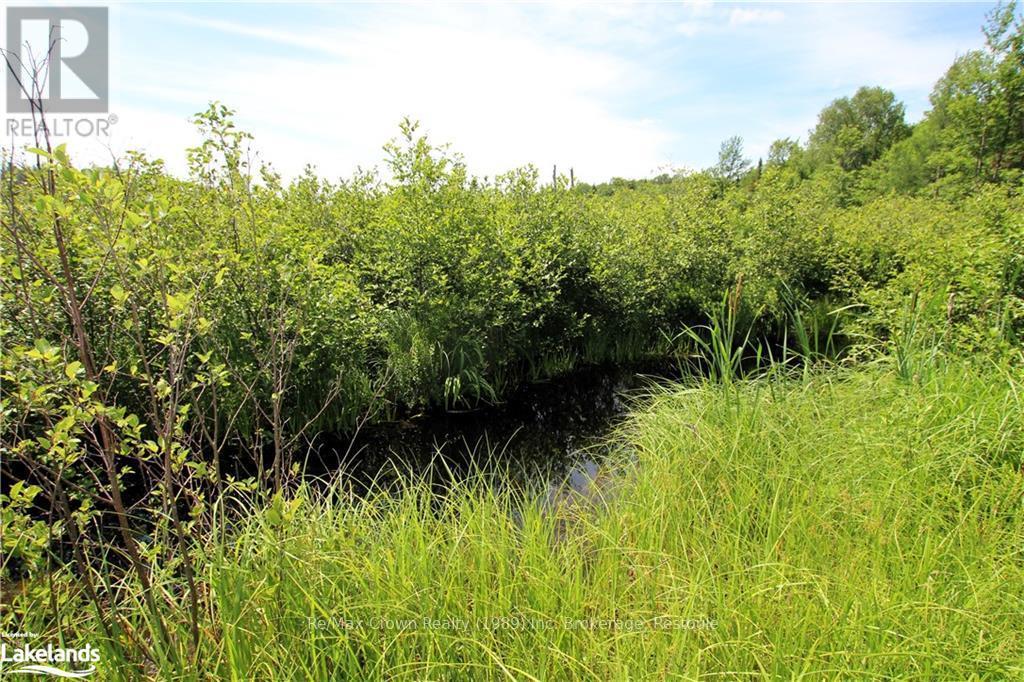 0A 20Th Side Rd, Parry Sound Remote Area (Mcconkey), ON