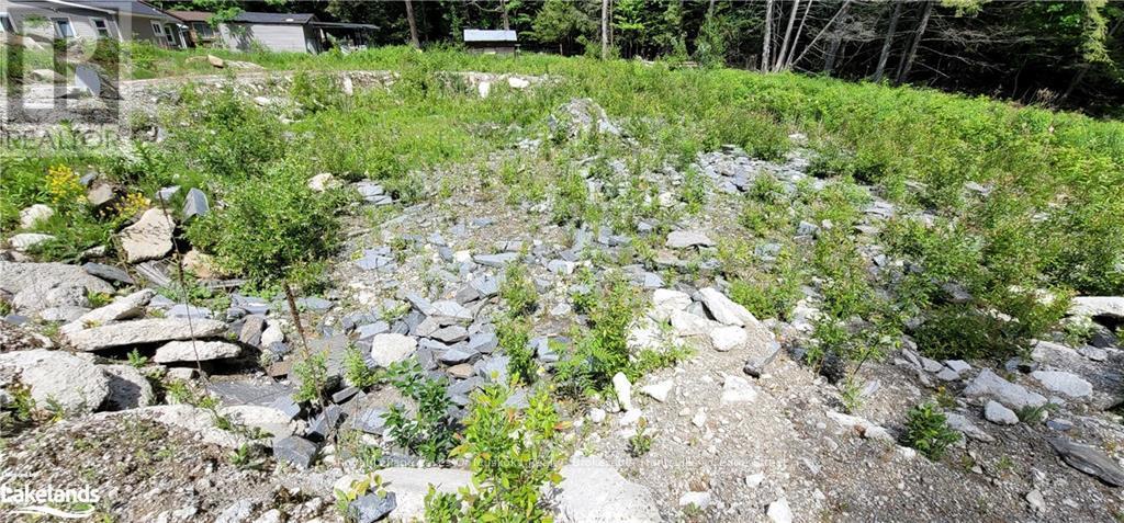 15 Madeline Street, Huntsville (Chaffey), ON