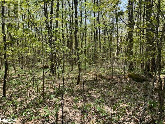 2376 South Horn Lake Road, Ryerson, ON