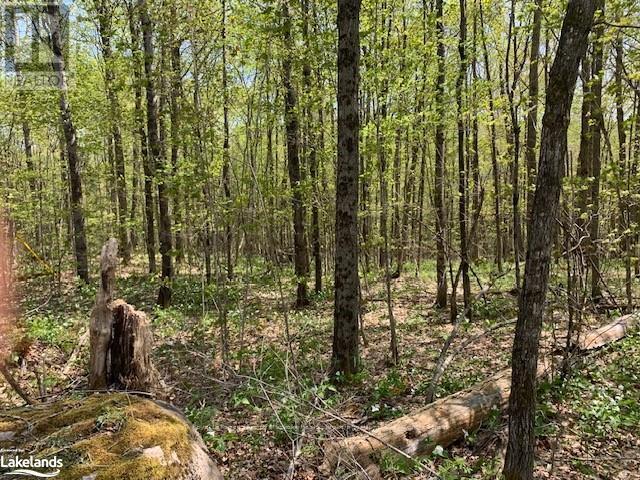 2376 South Horn Lake Road, Ryerson, ON