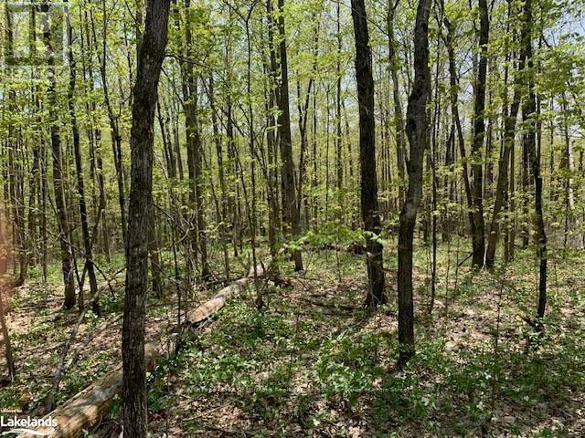 2376 South Horn Lake Road, Ryerson, ON