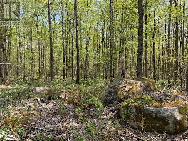 2376 South Horn Lake Road, Ryerson, ON