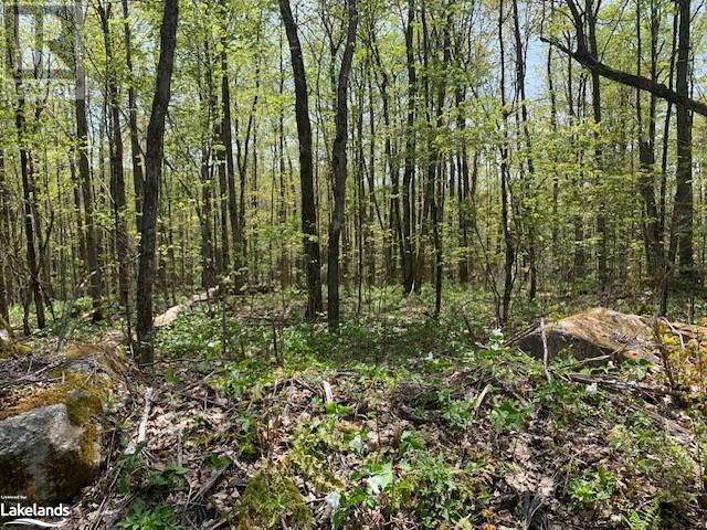 2376 South Horn Lake Road, Ryerson, ON