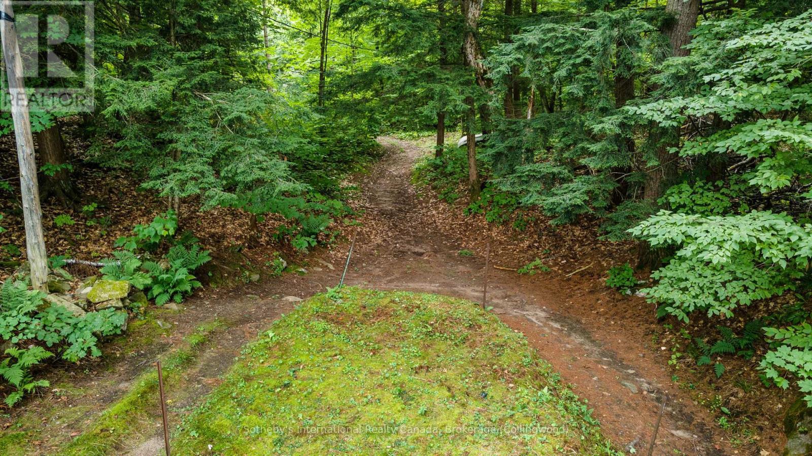 4202 Go Home Lake Shr, Georgian Bay (Gibson), ON - Outdoor