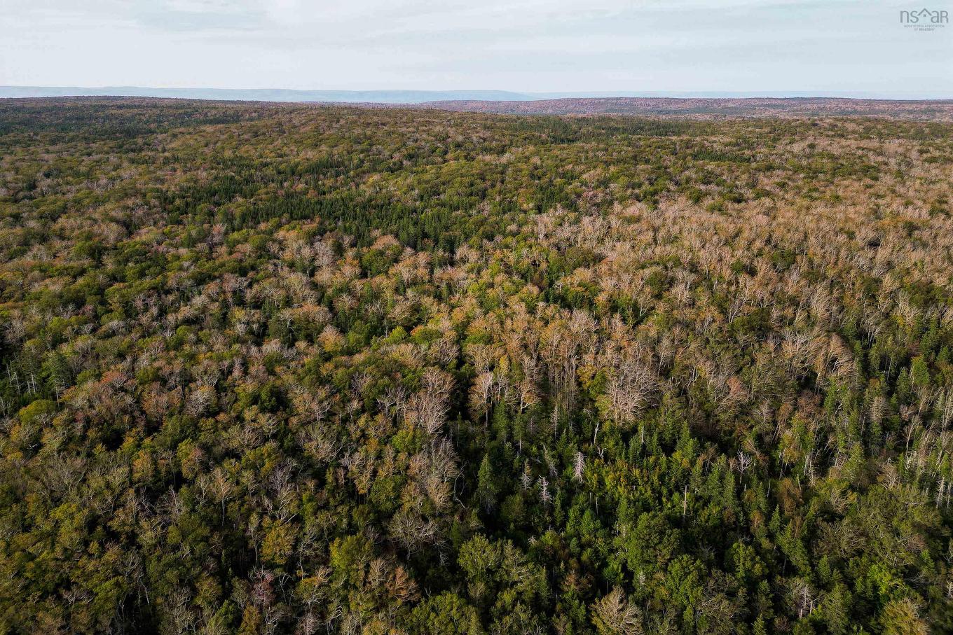 31.45 Acre Marble Mountain Road, Lime Hill, NS