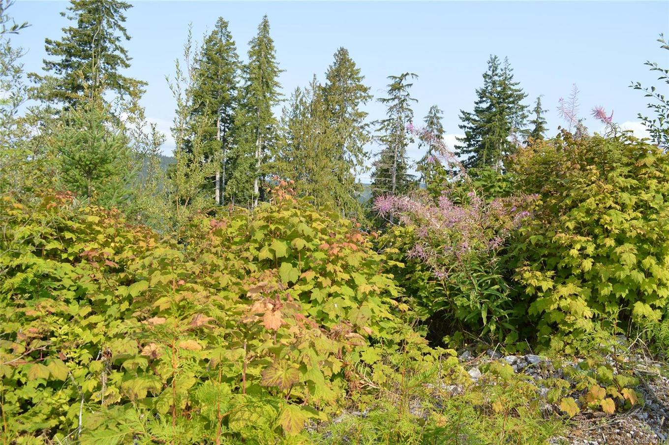 Dl315 Kenny Point, Port Hardy, BC