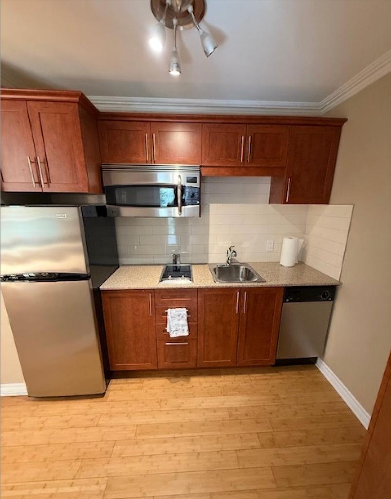 Kitchenette - 210-500 Ch. Des Frênes, Piedmont, QC - Indoor Photo Showing Kitchen