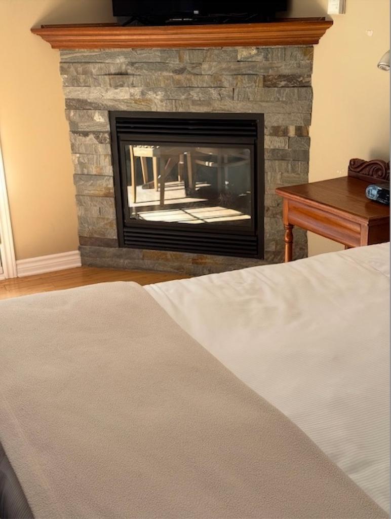 Other - 210-500 Ch. Des Frênes, Piedmont, QC - Indoor With Fireplace