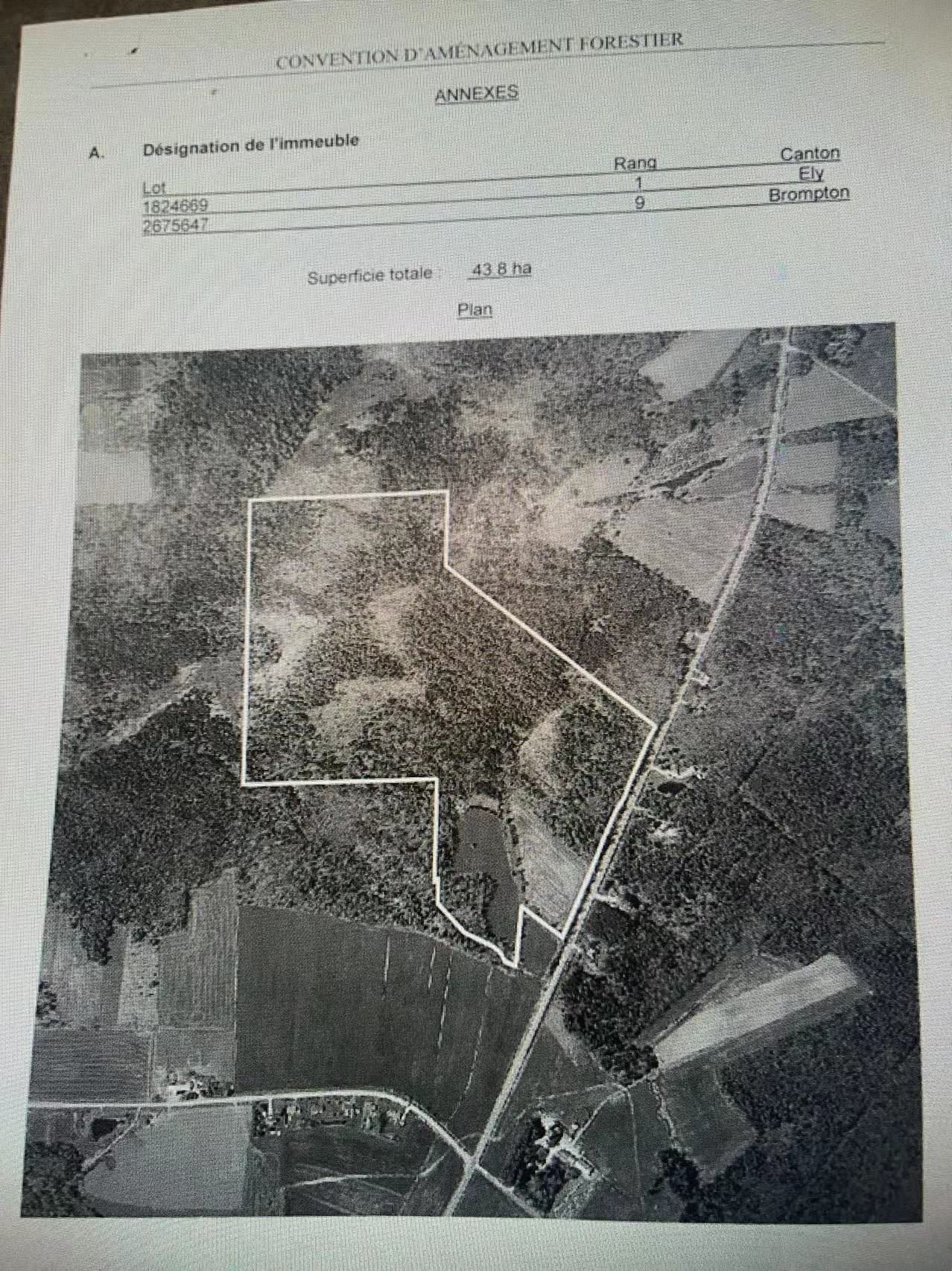 Plan (croquis) - Route 243, Racine, QC