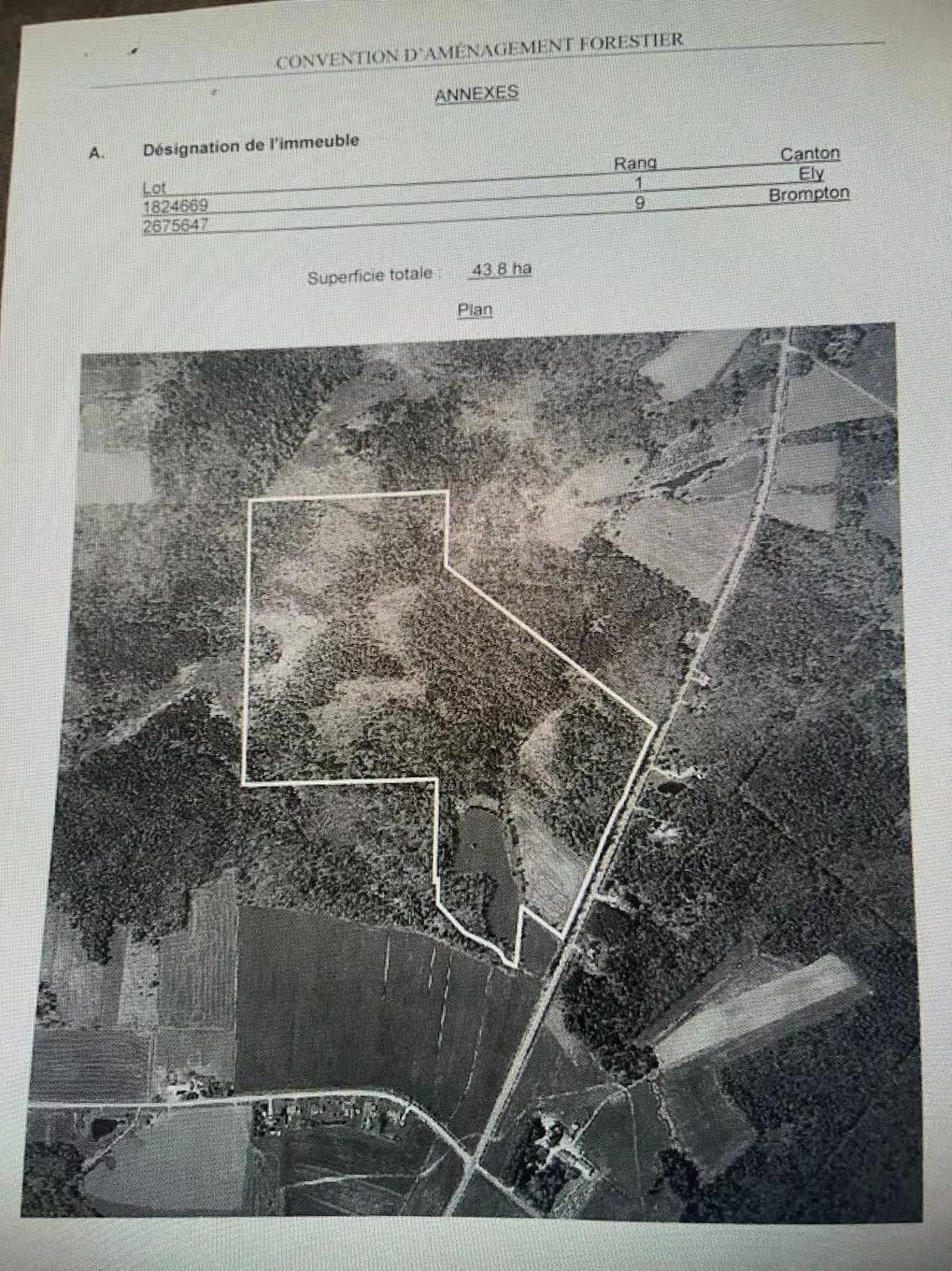 Plan (croquis) - Route 243, Racine, QC