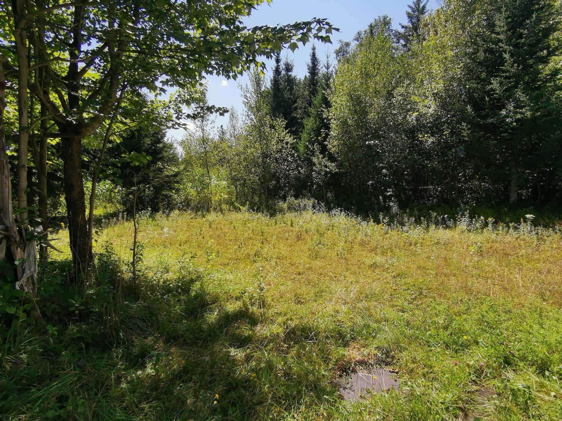 Terre/Terrain - Route 243, Racine, QC
