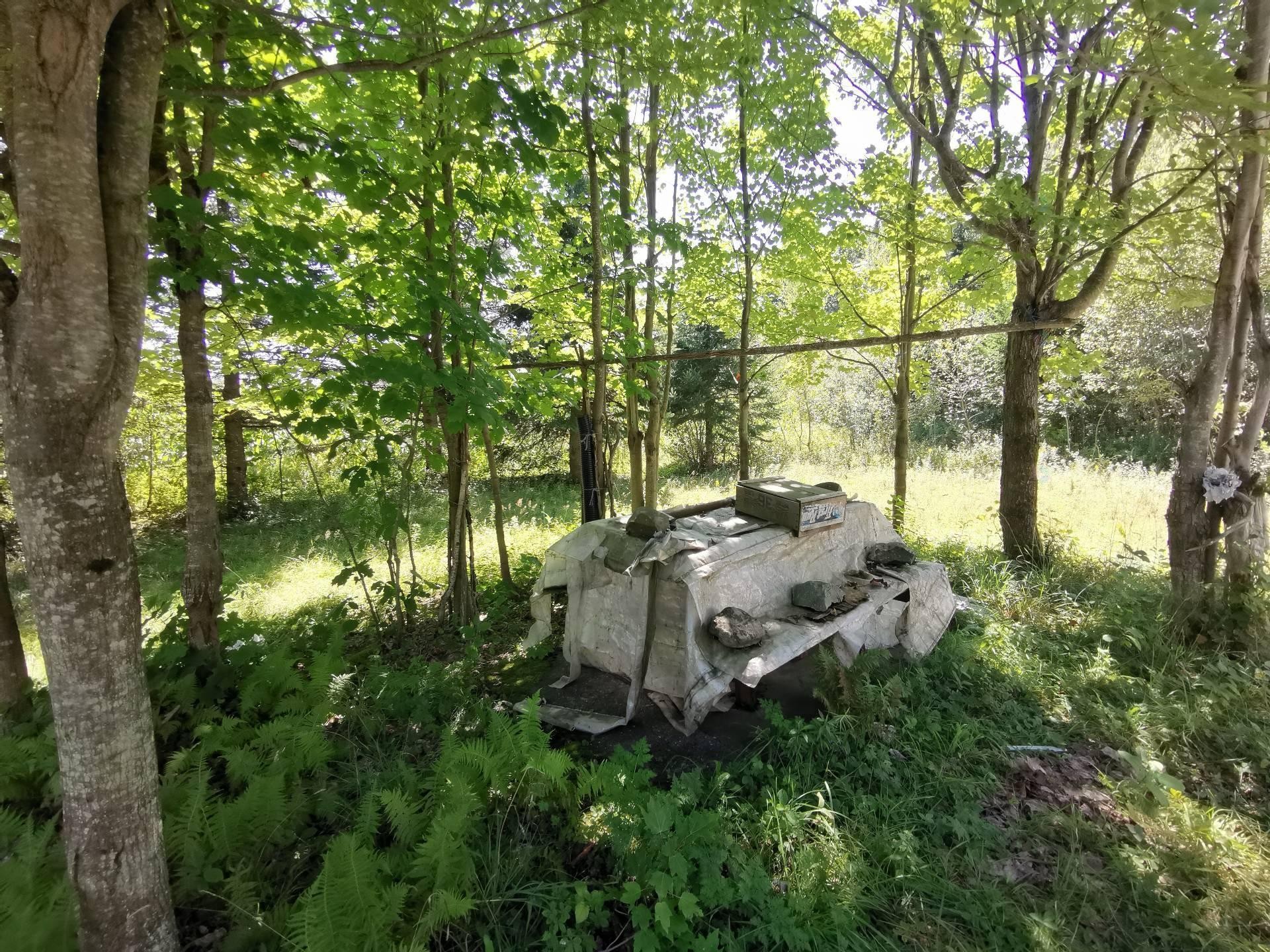 Terre/Terrain - Route 243, Racine, QC