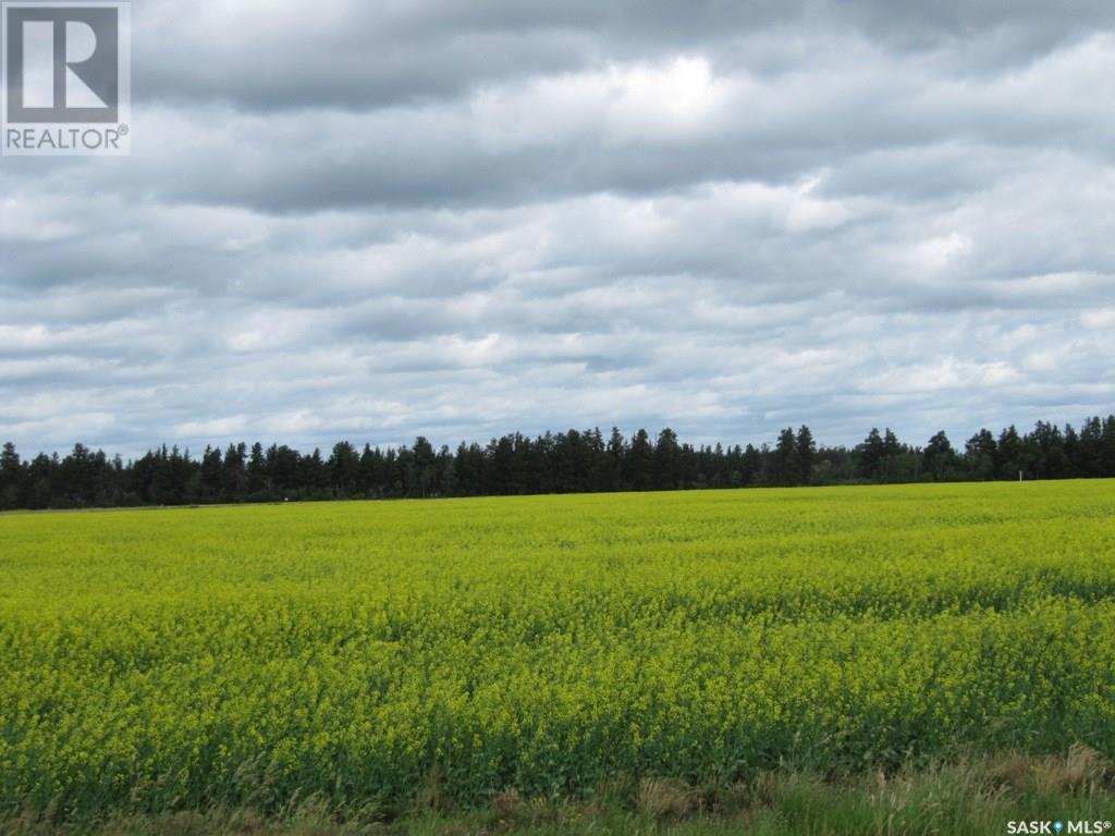 Lot 13 Parcel 3.53 Acres, Nipawin Rm No. 487, SK
