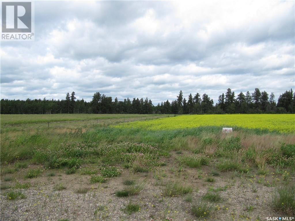 Lot 13 Parcel 3.53 Acres, Nipawin Rm No. 487, SK