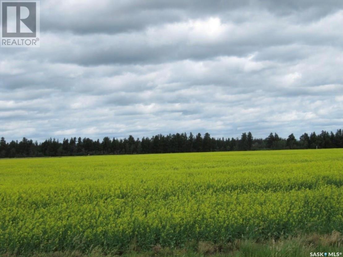 Lot 11 Parcel 3.41 Acres, Nipawin Rm No. 487, SK
