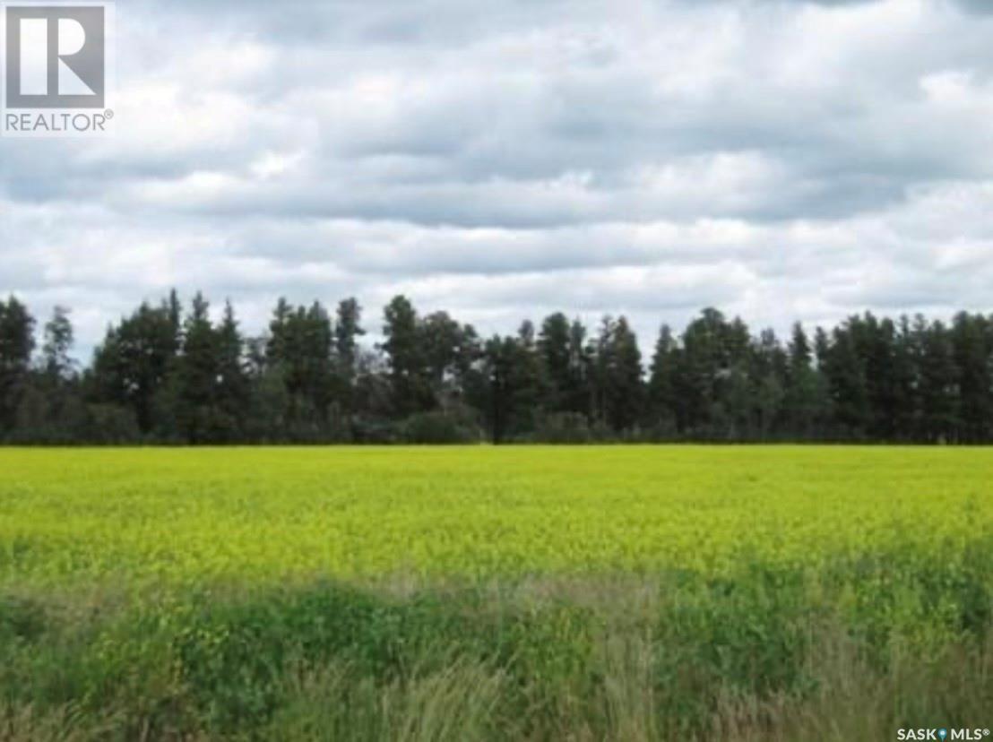 Lot 11 Parcel 3.41 Acres, Nipawin Rm No. 487, SK