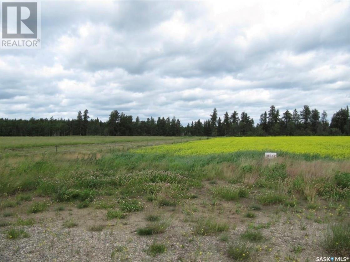 Lot 11 Parcel 3.41 Acres, Nipawin Rm No. 487, SK