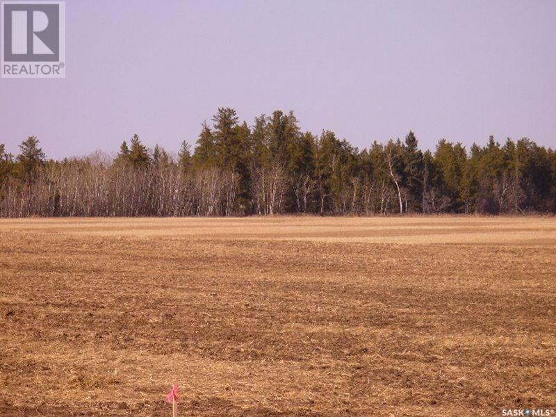 Lot 10 Parcel 3.55 Acres, Nipawin Rm No. 487, SK