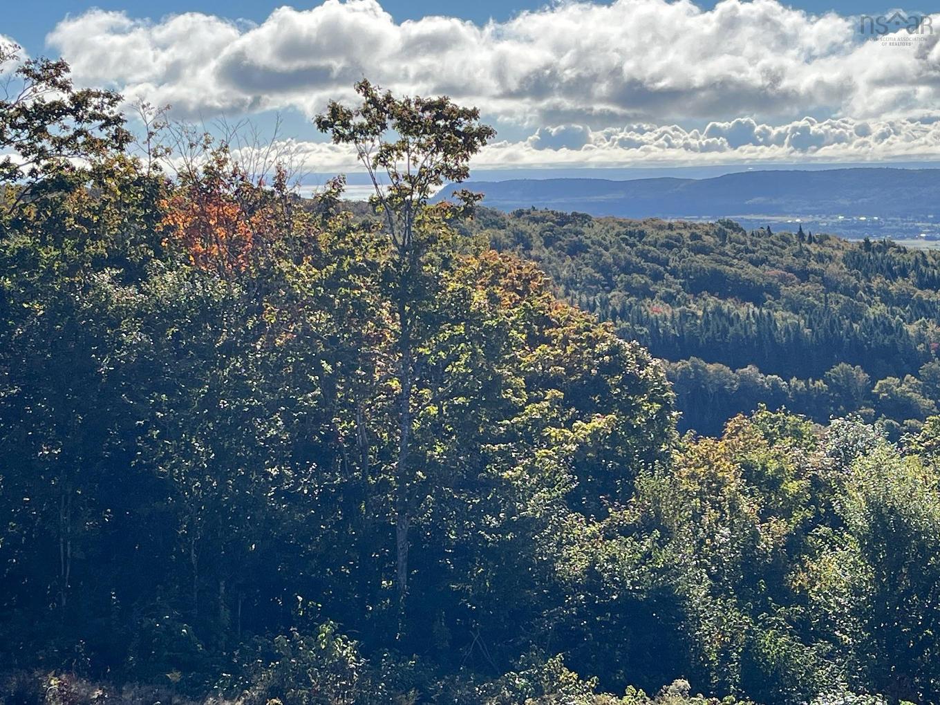 629 Eatonville Road, West Advocate, NS