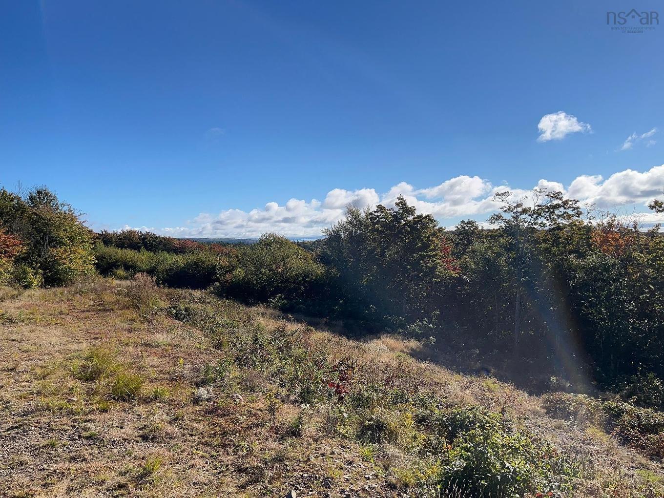 629 Eatonville Road, West Advocate, NS