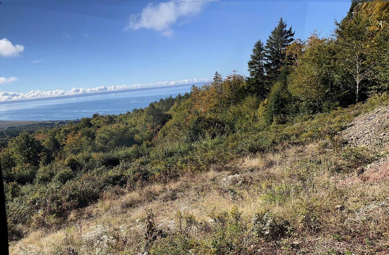 629 Eatonville Road, West Advocate, NS