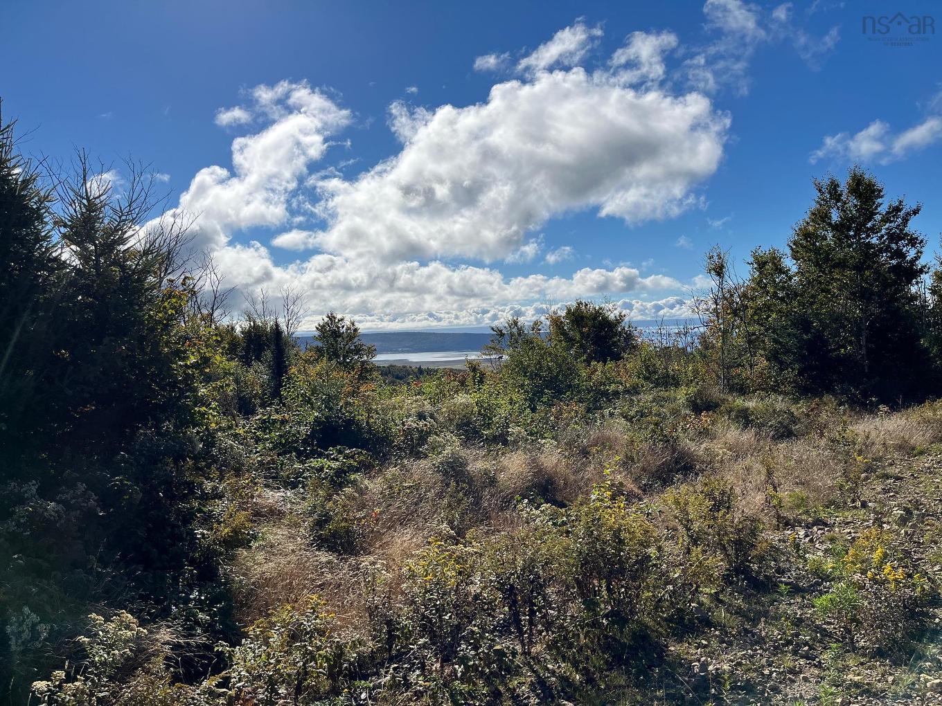 629 Eatonville Road, West Advocate, NS