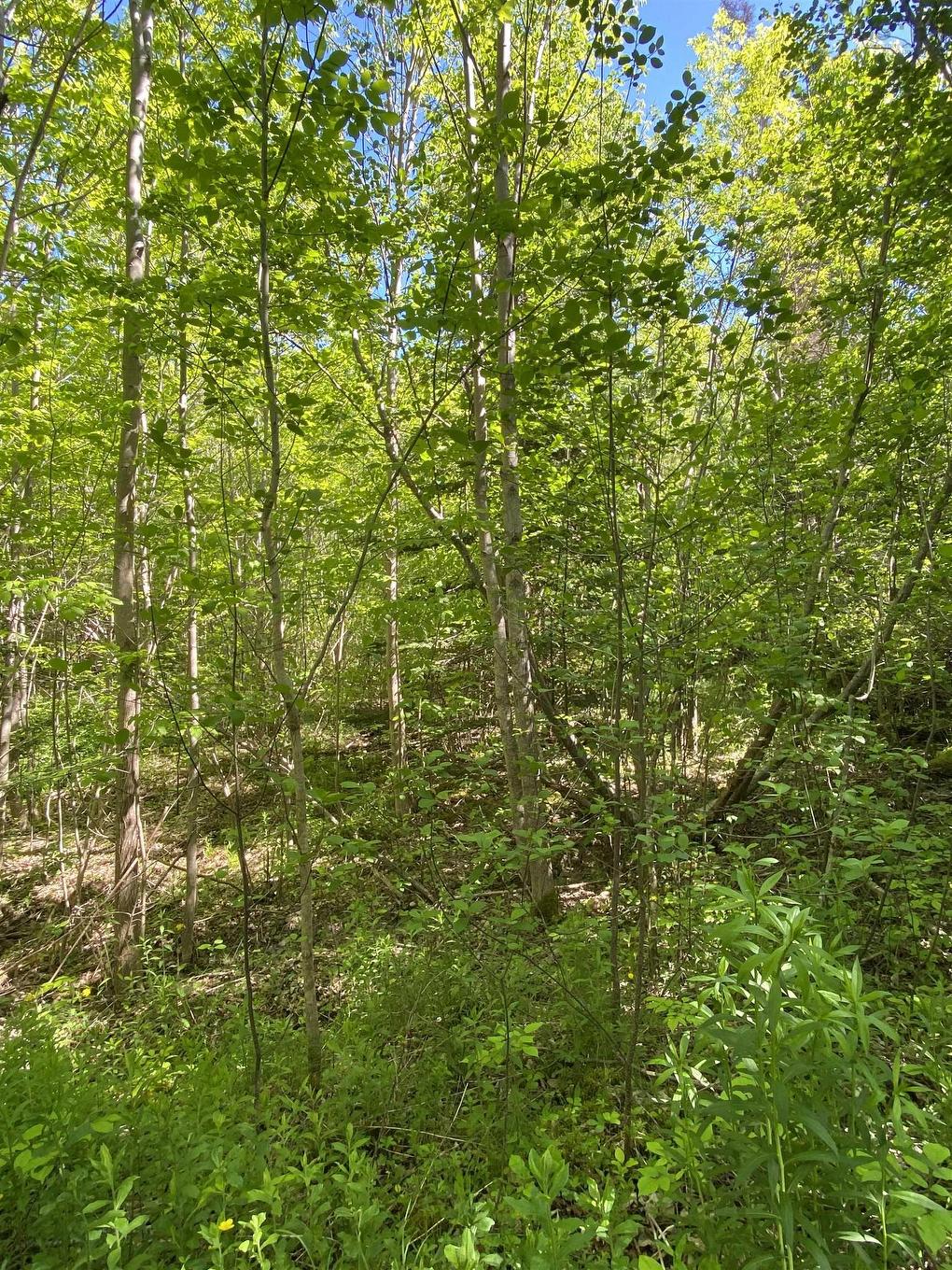 0 No. 1 Highway, Deep Brook, NS