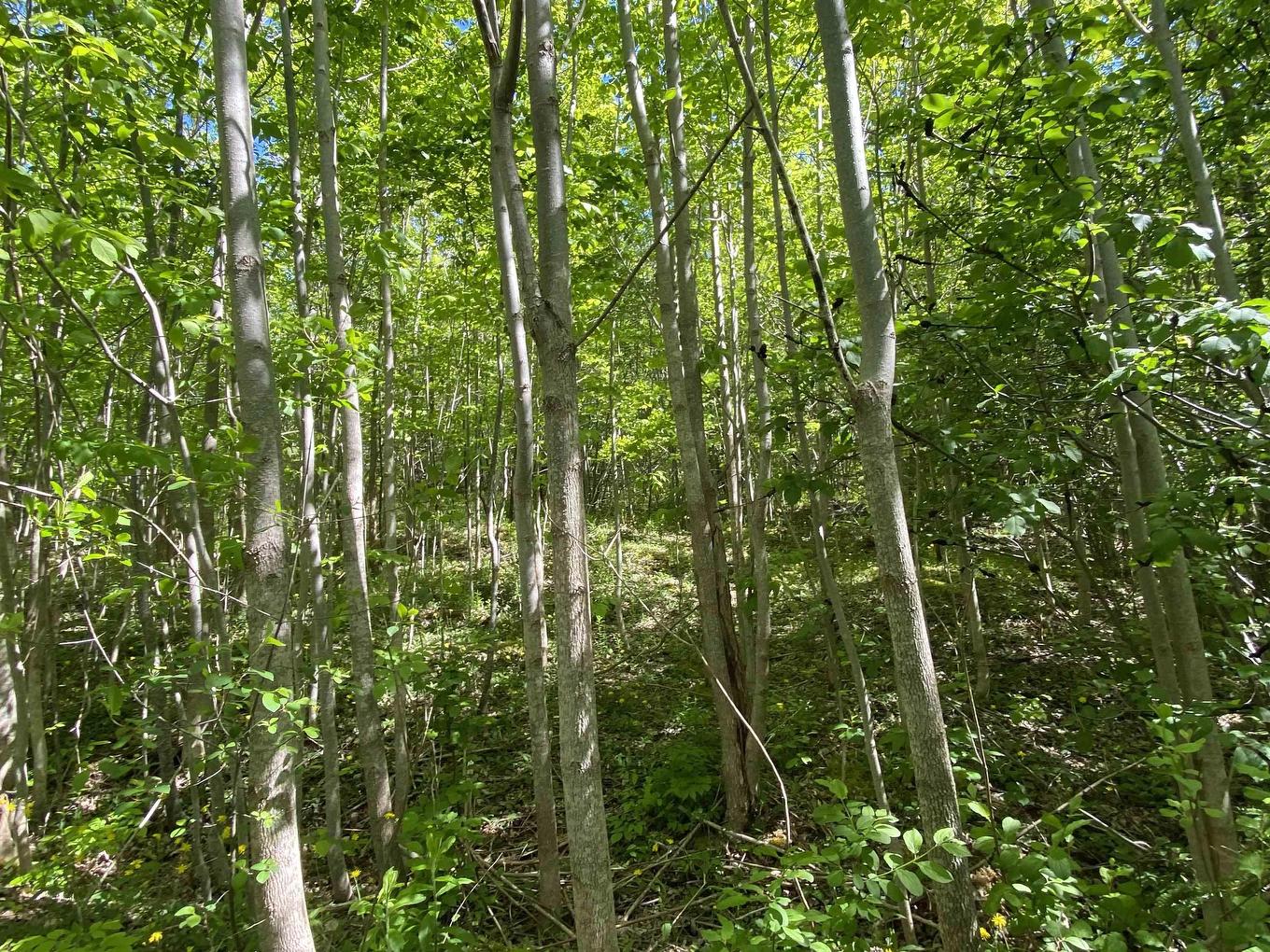 0 No. 1 Highway, Deep Brook, NS