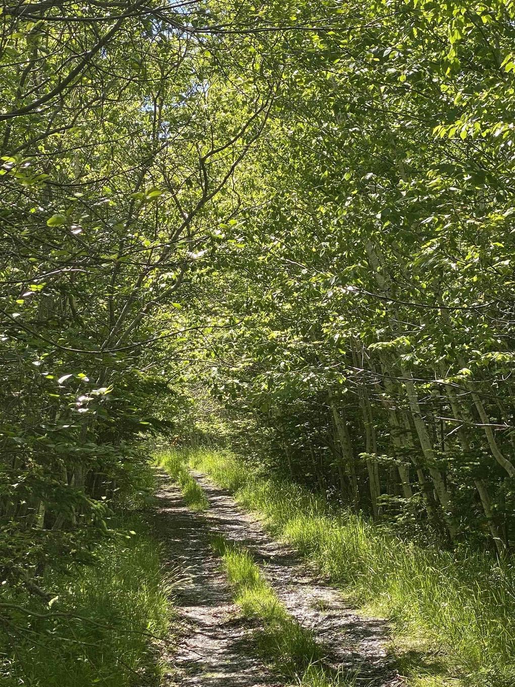 0 No. 1 Highway, Deep Brook, NS