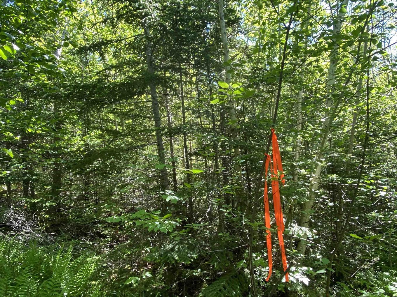 0 No. 1 Highway, Deep Brook, NS