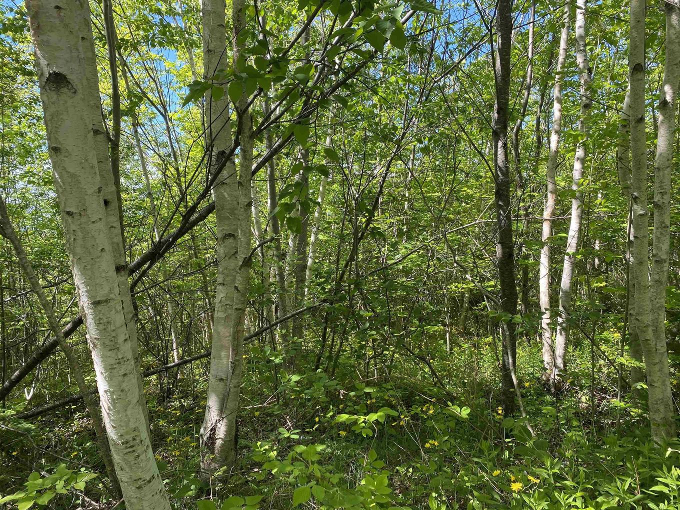 0 No. 1 Highway, Deep Brook, NS