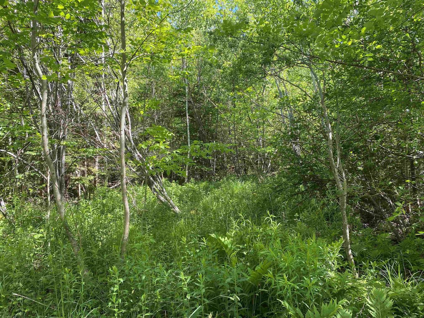 0 No. 1 Highway, Deep Brook, NS