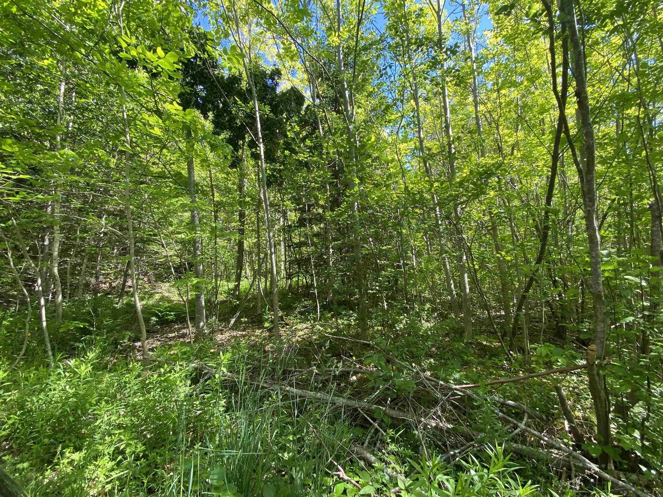 0 No. 1 Highway, Deep Brook, NS