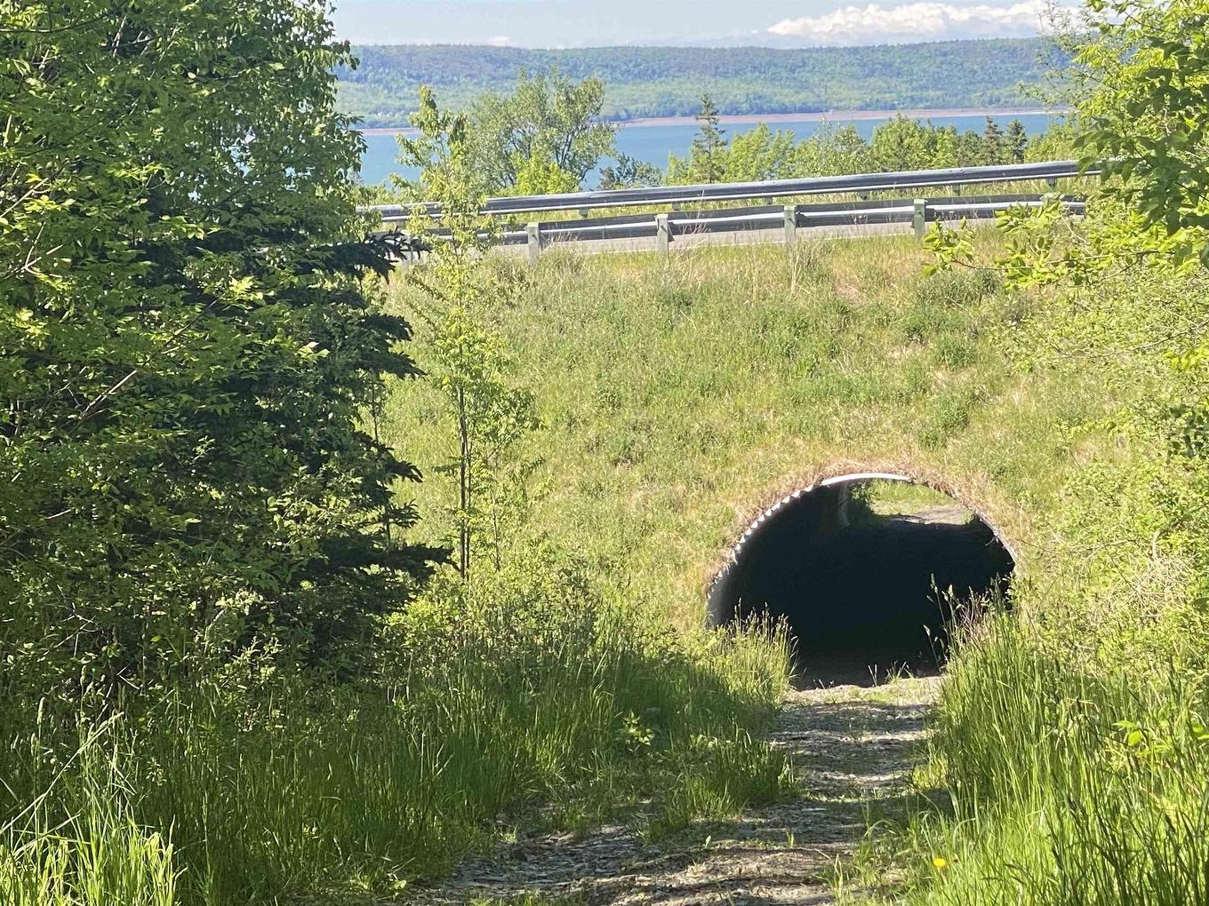 0 No. 1 Highway, Deep Brook, NS