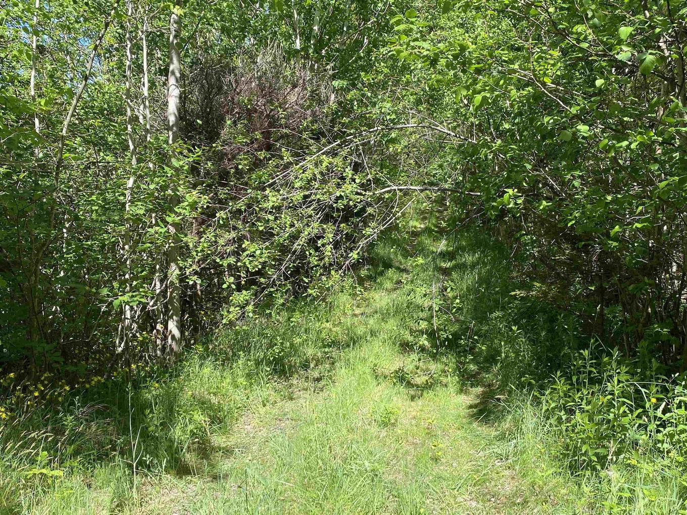 0 No. 1 Highway, Deep Brook, NS