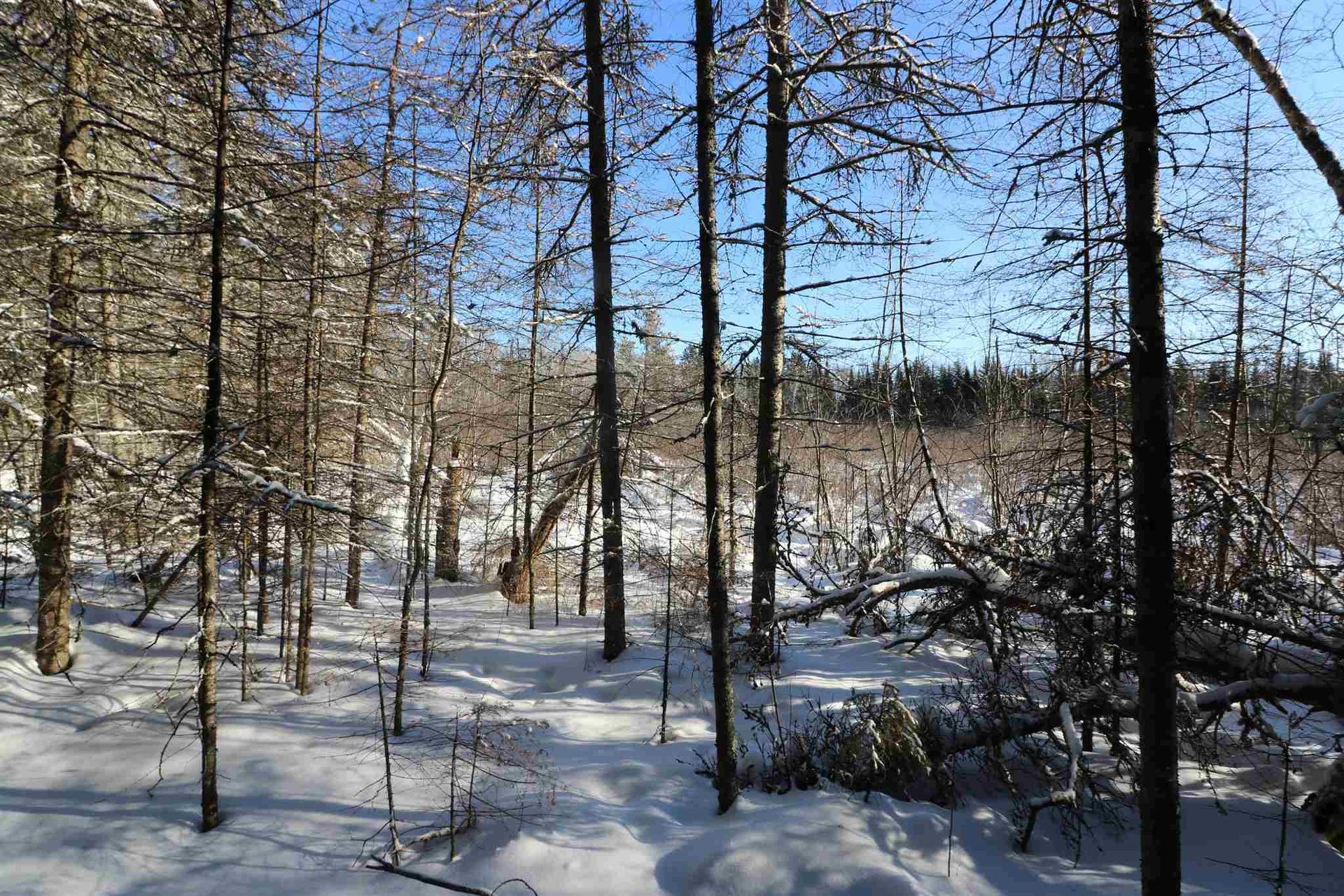 Lot 152 Plan M222, Minaki, ON