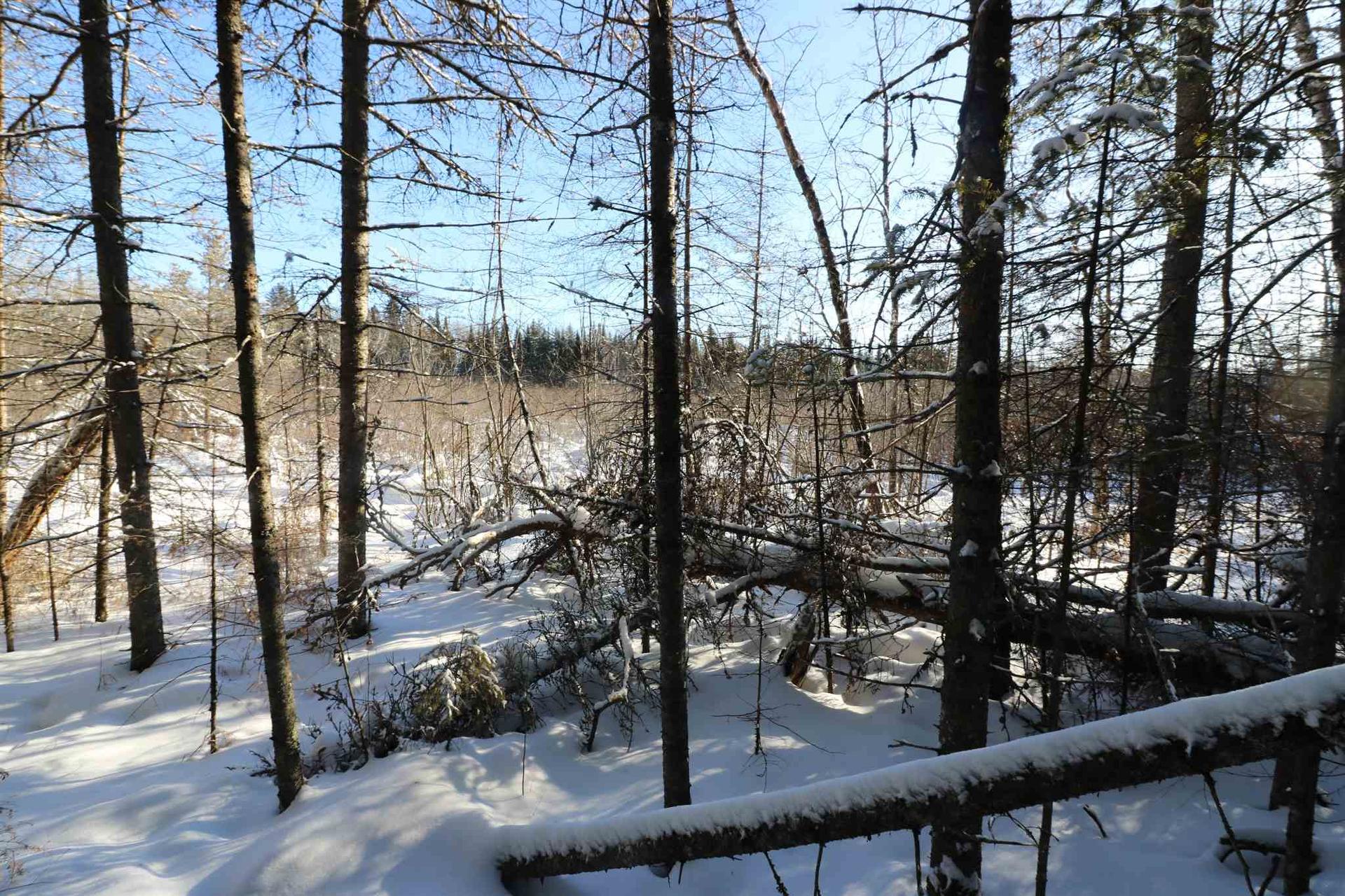 Lot 152 Plan M222, Minaki, ON