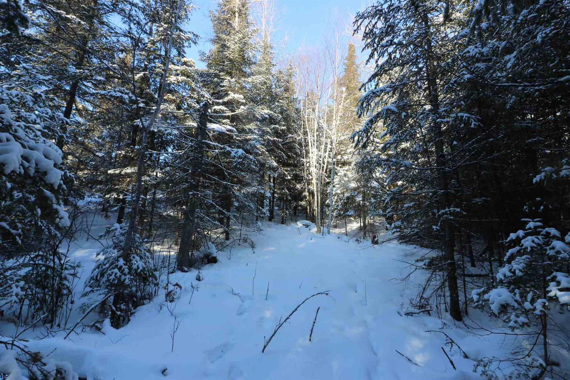 Lot 152 Plan M222, Minaki, ON