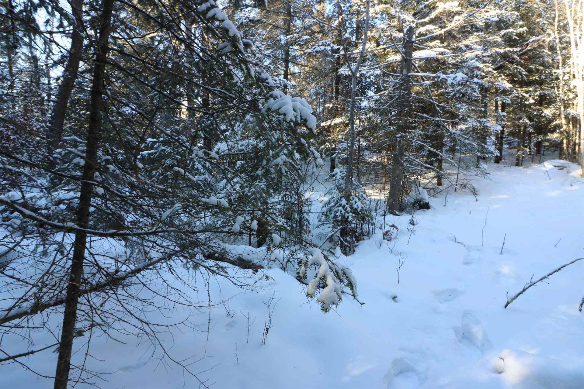 Lot 152 Plan M222, Minaki, ON