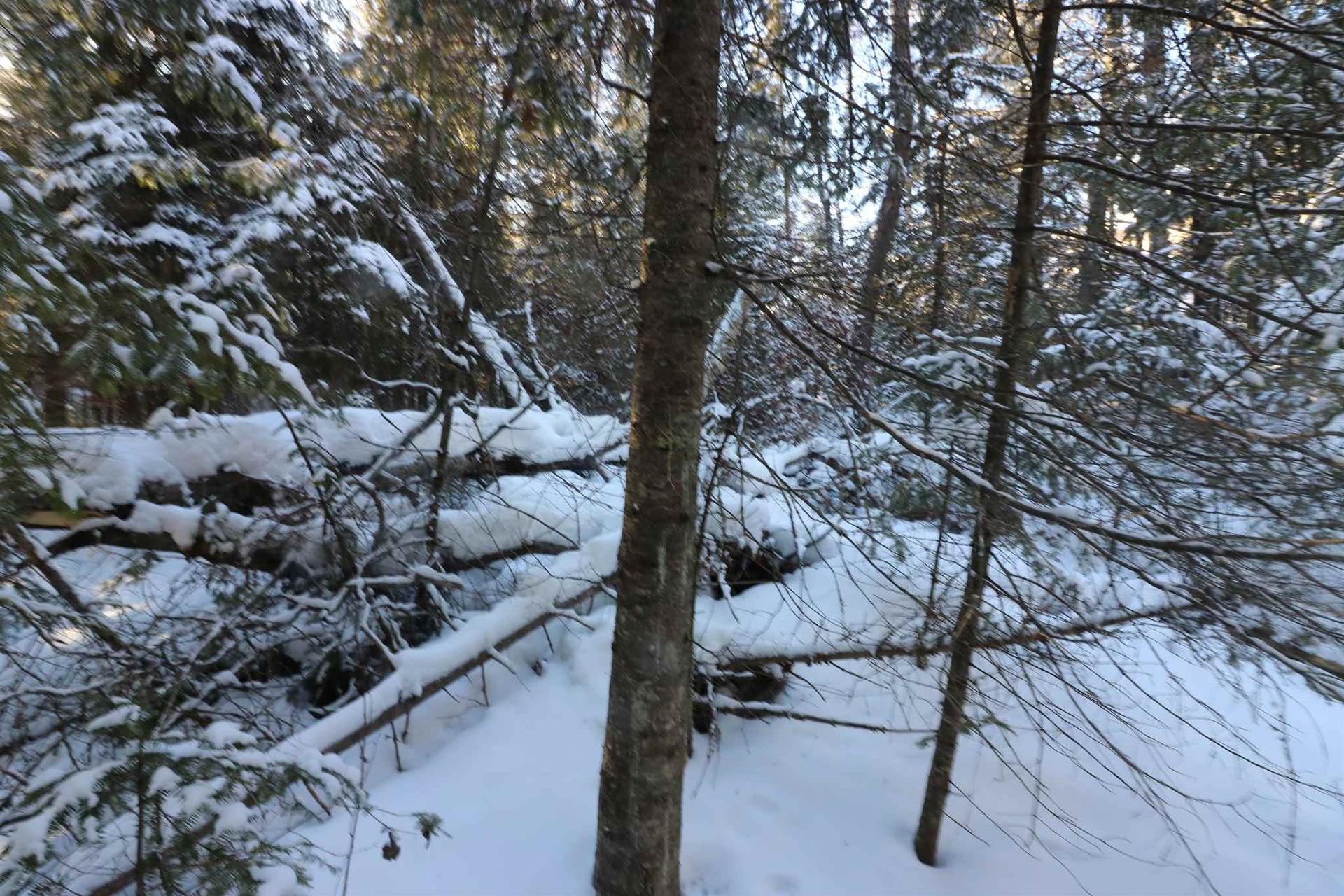 Lot 152 Plan M222, Minaki, ON