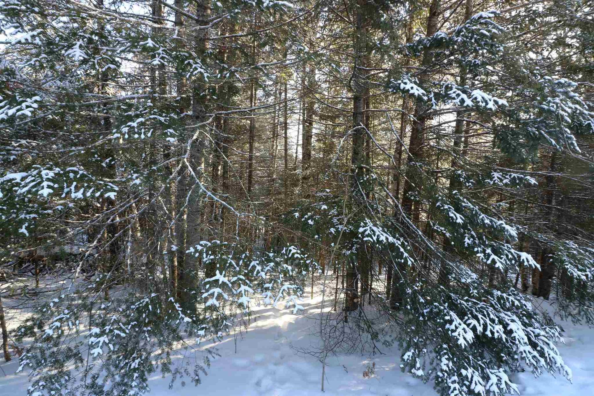 Lot 152 Plan M222, Minaki, ON