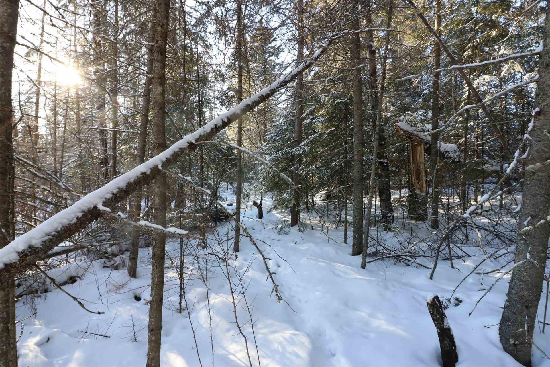 Lot 152 Plan M222, Minaki, ON