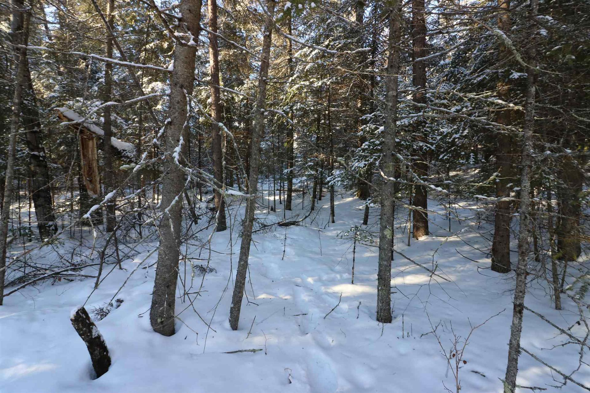 Lot 152 Plan M222, Minaki, ON