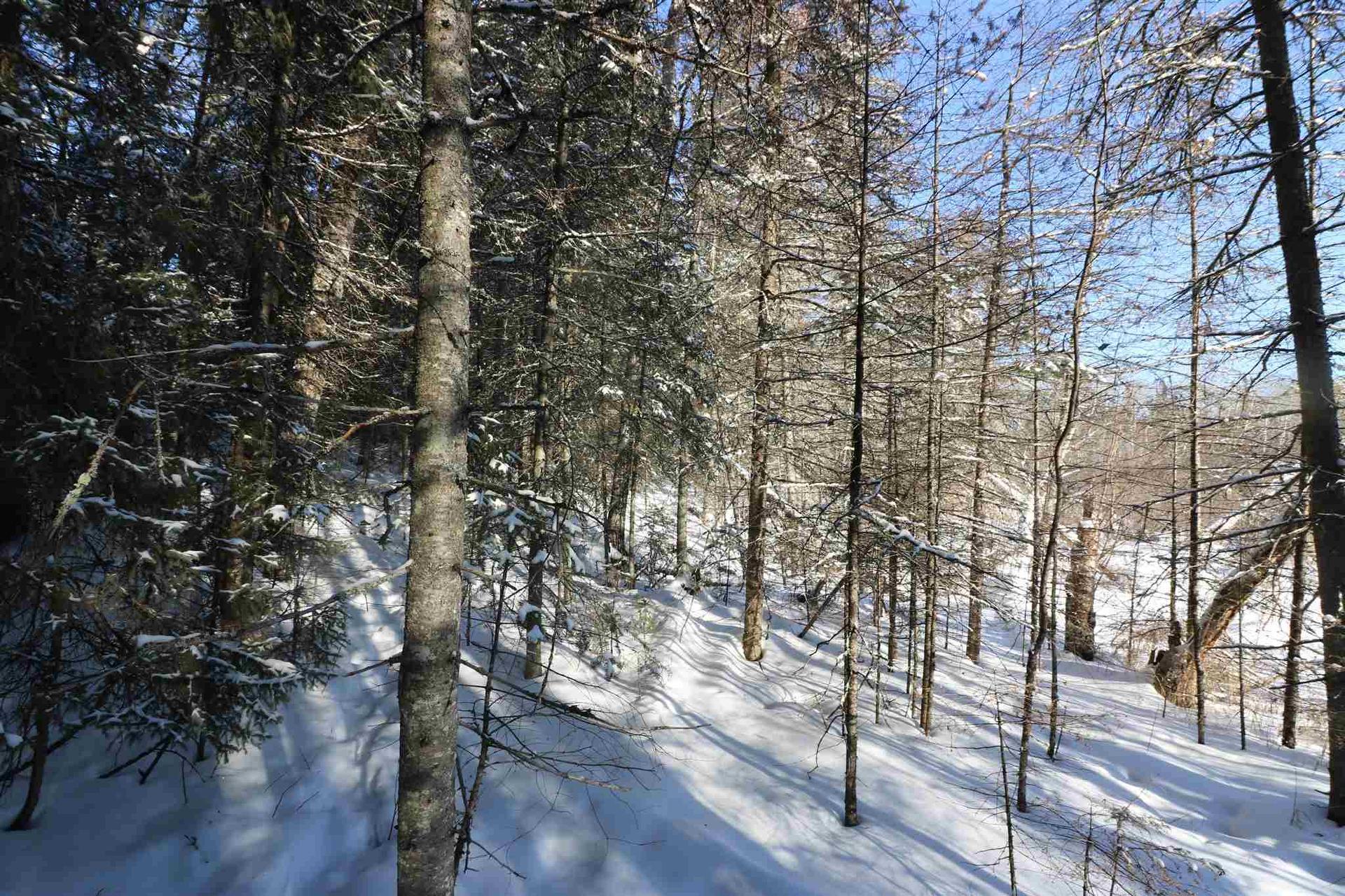 Lot 152 Plan M222, Minaki, ON