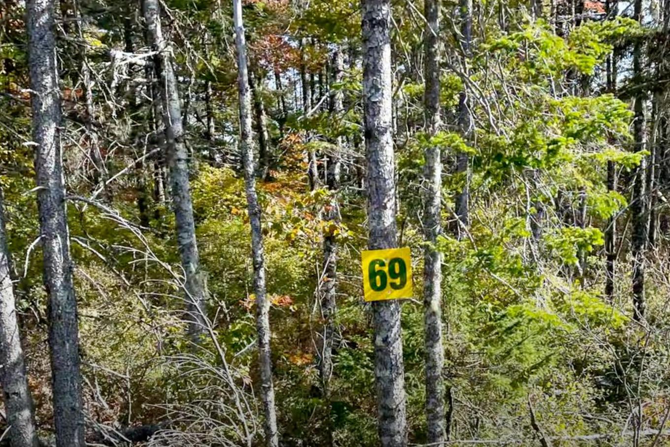 69 Meek Arm Trail, East Hants, NS