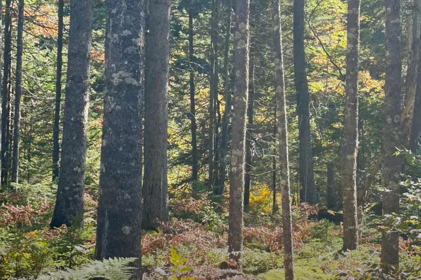 69 Meek Arm Trail, East Hants, NS