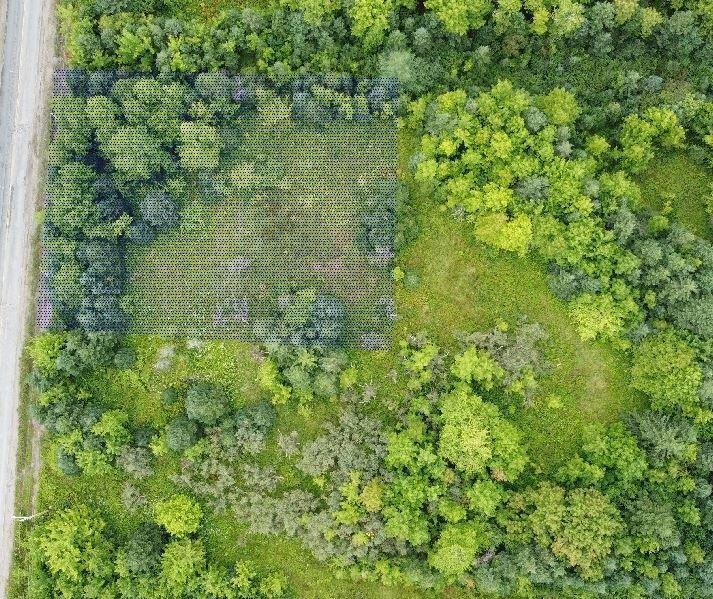 Lot 27 & 28 Phillop Street, Port Hastings, NS