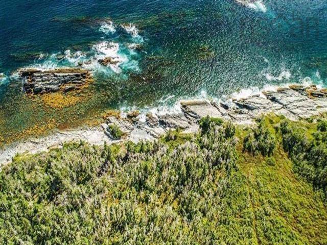 Lot 24 Herring Point Road, Blandford, NS